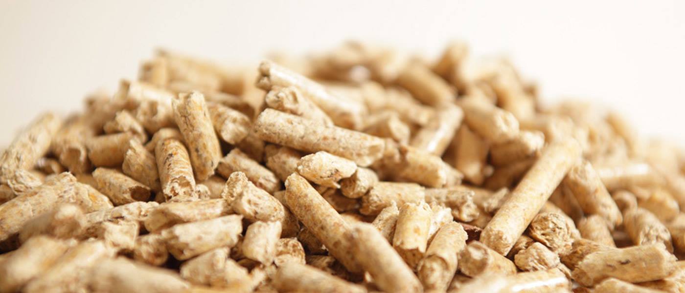Pellet di legno